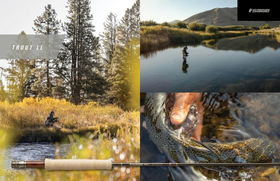 Sage Trout LL 4pc Fly Rod 7 Sage Trout LL 4pc Fly Rod - Afbeelding 5