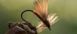 Ahrex FW503 Dry Fly Light Barbless -VisVaardig Winkel Ahrex FW503 Dry Fly Light Barbless AFW503 XX 503 1 2