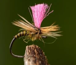 Ahrex FW527 Big Cap Dry Barbless Hooks -VisVaardig Winkel Ahrex FW527 Big Cap Dry Barbless Hooks AFW527 XXX fw527 3