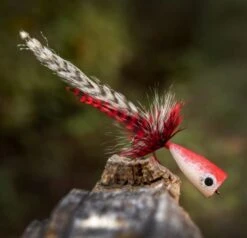 Ahrex PR354 Popping Skipping Bug 8 Ahrex PR354 Popping Skipping Bug -VisVaardig Winkel Ahrex PR354 Popping Skipping Bug APR354 XX 354 1 1