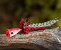 Ahrex PR354 Popping Skipping Bug 9 Ahrex PR354 Popping Skipping Bug -VisVaardig Winkel Ahrex PR354 Popping Skipping Bug APR354 XX 354 1 2