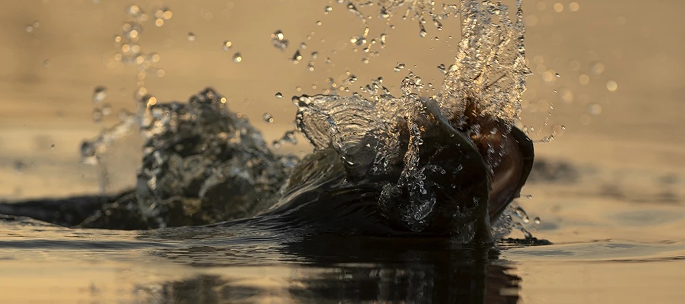 Ahrex PR378 GB Predator Swimbait Hooks 11 Ahrex PR378 GB Predator Swimbait Hooks - Afbeelding 9