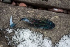 Ahrex PR378 GB Predator Swimbait Hooks 32 Ahrex PR378 GB Predator Swimbait Hooks -VisVaardig Winkel Ahrex PR378 GB Predator Swimbait Hooks PR378 XXX img 2052 1024x682 1