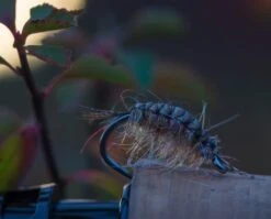 Ahrex SA274 Curved Salt Hooks -VisVaardig Winkel Ahrex SA274 Curved Salt Hooks SA274 XXX week47 02 1024x825 1