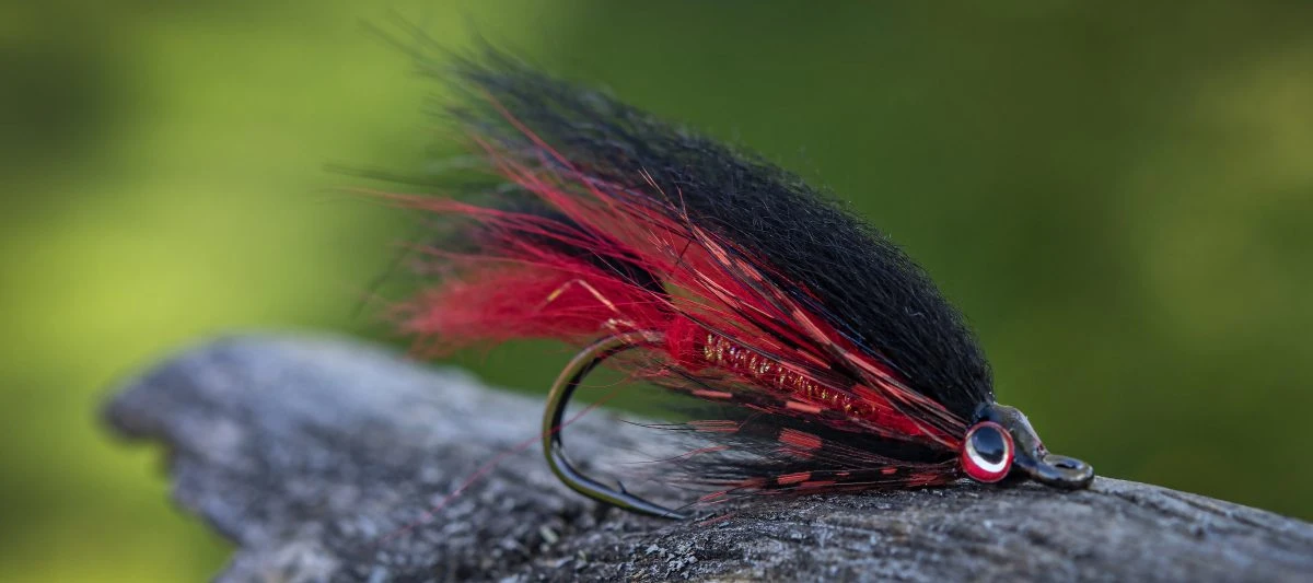 Ahrex XO720 Bos Taurus Streamer 6 Ahrex XO720 Bos Taurus Streamer - Afbeelding 4