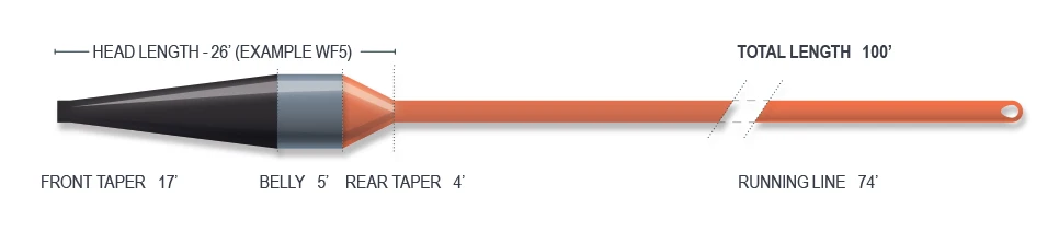 Airflo Streamer Max Short Sinking Head With Floating Running Fly Line 5 Airflo Streamer Max Short Sinking Head With Floating Running Fly Line - Afbeelding 3