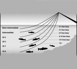 Airflo Ridge Clear Delta WF Slow Intermediate Fly Line -VisVaardig Winkel Airflo20Sink20Chart20BW 1