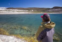 Cortland Big Fly Floating Fly Line -VisVaardig Winkel Cortland Big Fly D340016 XX troutboss 1200x