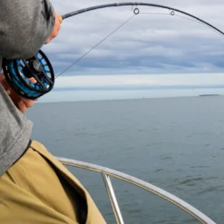 Cortland Cold Salt Striped Bass Fly Line -VisVaardig Winkel Cortland Cold Salt Striped Bass Fly Line CORTCOLDSALTLINE XXX stripedbasssink8 1100x