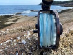 Cortland Compact Intermediate Blitz Fly Line -VisVaardig Winkel Cortland Compact intermediate Blitz Fly Line D340020 XX img 4376 1200x