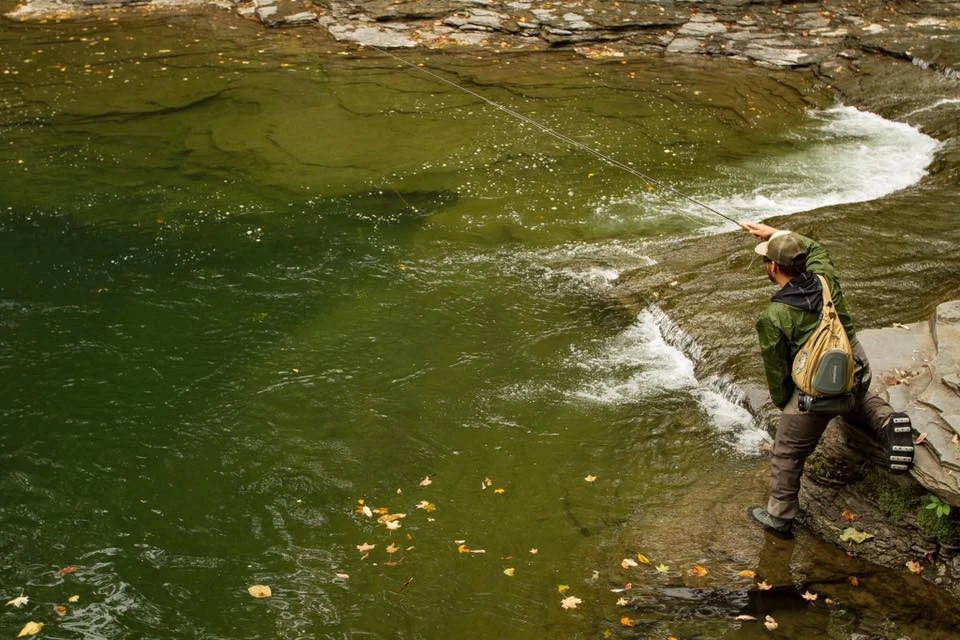 Cortland Euro Nymph Mono Core Fly Line 9 Cortland Euro Nymph Mono Core Fly Line - Afbeelding 7
