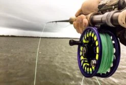 Cortland Liquid Crystal Guide Tropic Salt Floating Fly Line -VisVaardig Winkel Cortland Liquid Crystal Guide Tropic Salt Fly Line D340030 XX guidetaper3 959x