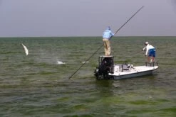 Cortland Liquid Crystal Guide Tropic Salt Floating Fly Line -VisVaardig Winkel Cortland Liquid Crystal Guide Tropic Salt Fly Line D340030 XX inter3 92936b4c 78bc 4e91 8912 910d7d939c72 1200x