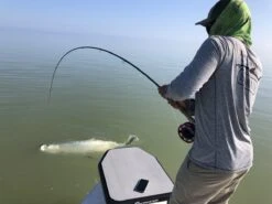 Cortland Liquid Crystal Tarpon Taper Fly Line -VisVaardig Winkel Cortland Liquid Crystal Tarpon Taper Fly Line D34003 XX liquidcrystal 1200x