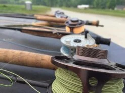 Cortland Modern Trout Floating WF Fly Line -VisVaardig Winkel Cortland Modern Trout Floating WF Fly Line CORT MODERN XXX moderntrout mossgreen3