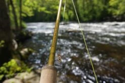Douglas Upstream Plus Fly Rod -VisVaardig Winkel Douglas Upstream Plus Fly Rod NFD615 XXX schermafbeelding 2023 01 11 om 11.47