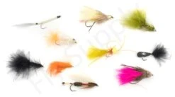 Euro Flies Access Allround Trout & Perch Complete Set #6 - 9ft -VisVaardig Winkel Euro Flies Access Allround Trout Perch Complete Set 6 9ft EF ACCSET 6 9ft dsc06392