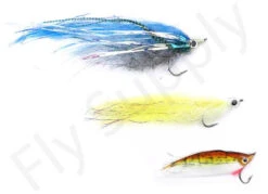 Euro Flies Predator Complete Set #10 - 9ft -VisVaardig Winkel Euro Flies Predator Complete Set 10 9ft EF PRESET 10 90ft vis 1 2