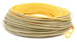 Euro Flies Predator Max Floating Fly Line 10 Euro Flies Predator Max Floating Fly Line -VisVaardig Winkel Euro Flies Predator Max Floating Fly Line EF PREDMAXWF XXX dsc06473 bewerkt