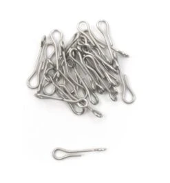 Fish Skull Articulated Fish Spine -VisVaardig Winkel Fish Skull Articulated Fish Spine D2304201 X dsc08297 bewerkt