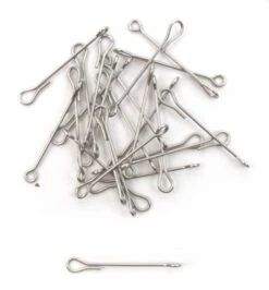 Fish Skull Articulated Fish Spine -VisVaardig Winkel Fish Skull Articulated Fish Spine D2304201 X dsc08302 bewerkt