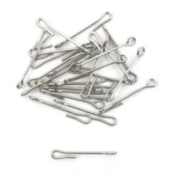 Fish Skull Articulated Fish Spine -VisVaardig Winkel Fish Skull Articulated Fish Spine D2304201 X dsc08307 bewerkt