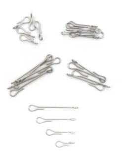 Fish Skull Articulated Fish Spine -VisVaardig Winkel Fish Skull Articulated Fish Spine D2304201 X dsc08319 bewerkt 2