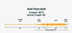 RIO AVID Trout Gold Fly Line -VisVaardig Winkel RIO AVID Trout Gold Fly Line 12 9695 XX avidgold2