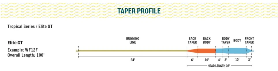 RIO Elite GT Floating Fly Line Blue/Orange/Sea Grass 5 RIO Elite GT Floating Fly Line Blue/Orange/Sea Grass - Afbeelding 3