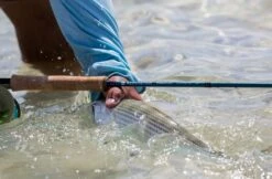 Redington Predator II Fly Rod -VisVaardig Winkel Redington Predator II Fly Rod 05 851 XX knipsel4