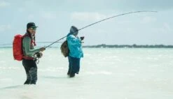 Redington Predator II Fly Rod -VisVaardig Winkel Redington Predator II Fly Rod 05 851 XX knipsel6