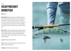 SAGE Salt R8 Fly Rod -VisVaardig Winkel SAGE Salt R8 Fly Rod 03 17 XXX 10