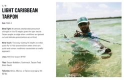 SAGE Salt R8 Fly Rod -VisVaardig Winkel SAGE Salt R8 Fly Rod 03 17 XXX 11