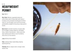 SAGE Salt R8 Fly Rod -VisVaardig Winkel SAGE Salt R8 Fly Rod 03 17 XXX 12