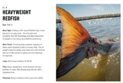 SAGE Salt R8 Fly Rod -VisVaardig Winkel SAGE Salt R8 Fly Rod 03 17 XXX 13