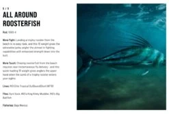 SAGE Salt R8 Fly Rod -VisVaardig Winkel SAGE Salt R8 Fly Rod 03 17 XXX 15