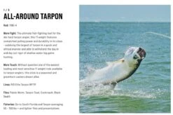 SAGE Salt R8 Fly Rod -VisVaardig Winkel SAGE Salt R8 Fly Rod 03 17 XXX 16