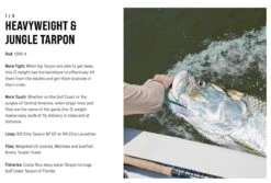 SAGE Salt R8 Fly Rod -VisVaardig Winkel SAGE Salt R8 Fly Rod 03 17 XXX 17