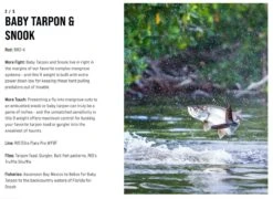 SAGE Salt R8 Fly Rod -VisVaardig Winkel SAGE Salt R8 Fly Rod 03 17 XXX 9