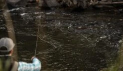 SAGE Sense Fly Rod 17 SAGE Sense Fly Rod -VisVaardig Winkel SAGE Sense Fly Rod SAGESENSEROD XXX sense tube2