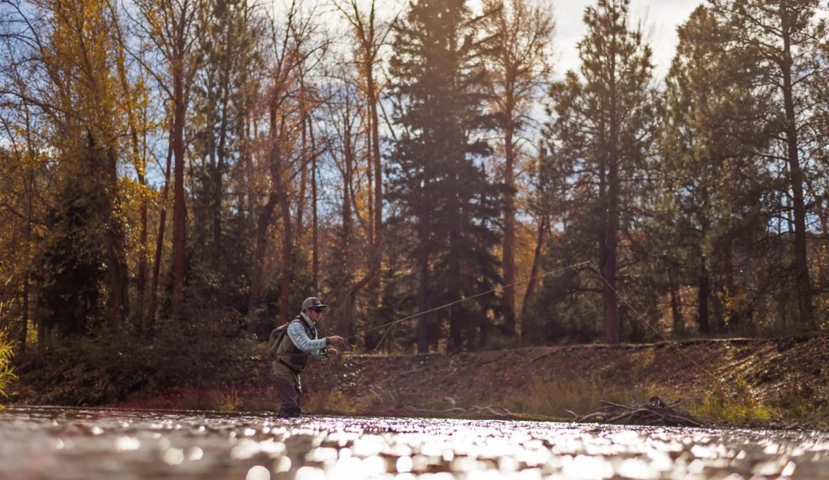 SAGE Sense Fly Rod 9 SAGE Sense Fly Rod - Afbeelding 7