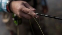 SAGE Sense Fly Rod 19 SAGE Sense Fly Rod -VisVaardig Winkel SAGE Sense Fly Rod SAGESENSEROD XXX sense tube4