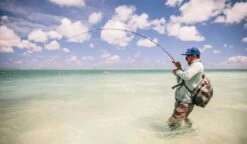 Sage Maverick Fly Rod -VisVaardig Winkel Sage Maverick Fly Rod 03 54XXXX maverick 3