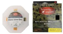 Scientific Anglers Mastery Atlantic Salmon Spey Orange/Willow Floating -VisVaardig Winkel Scientific Anglers Mastery Atlantic Salmon Spey OrangeWillow Floating 319100XX dsc07676 bewerkt