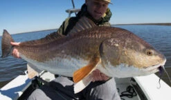 Thomas & Thomas Exocett SS Fly Rod 9 Thomas & Thomas Exocett SS Fly Rod -VisVaardig Winkel Thomas Thomas Exocett SS Fly Rod THOMAS SS XXX s4chermafbeelding 2022 10 20 om 08.47