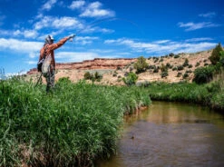 Thomas & Thomas Lotic Fly Rod -VisVaardig Winkel Thomas Thomas Lotic Fly Rod LOTIC XXX schermafbeelding 2022 10 19 om 17.07