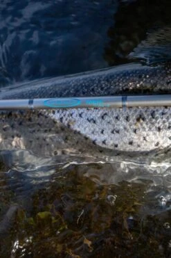 Vision Meri 4pc Fly Rod -VisVaardig Winkel Vision Meri 4pc Fly Rod VRI49XXX photobyroberthansson 16 scaled 1