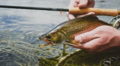 Winston Air 2 Fly Rod -VisVaardig Winkel Winston Air2 Fly Rod AIR2ROD XXX naamloo1s