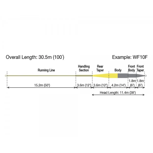 RIO DirectCore Flats Pro Floating Fly Line (Gray / Sand / Kelp) - Afbeelding 3